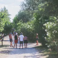 camping-beauregard-plage-marseillan-plage-yhw19