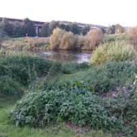 camping-an-der-kost-hattingen-j86j7