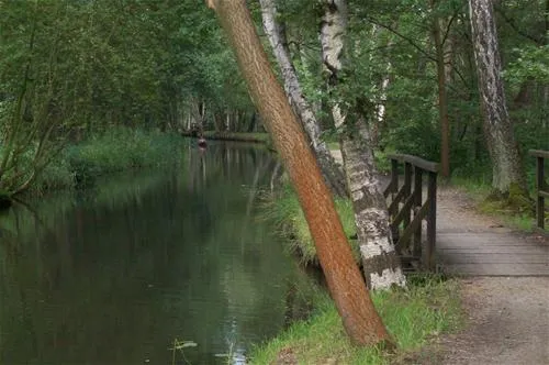 spreewaldnaturcampingplatz-lbbenau-mssvk