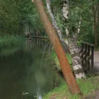 spreewaldnaturcampingplatz-lbbenau-mssvk