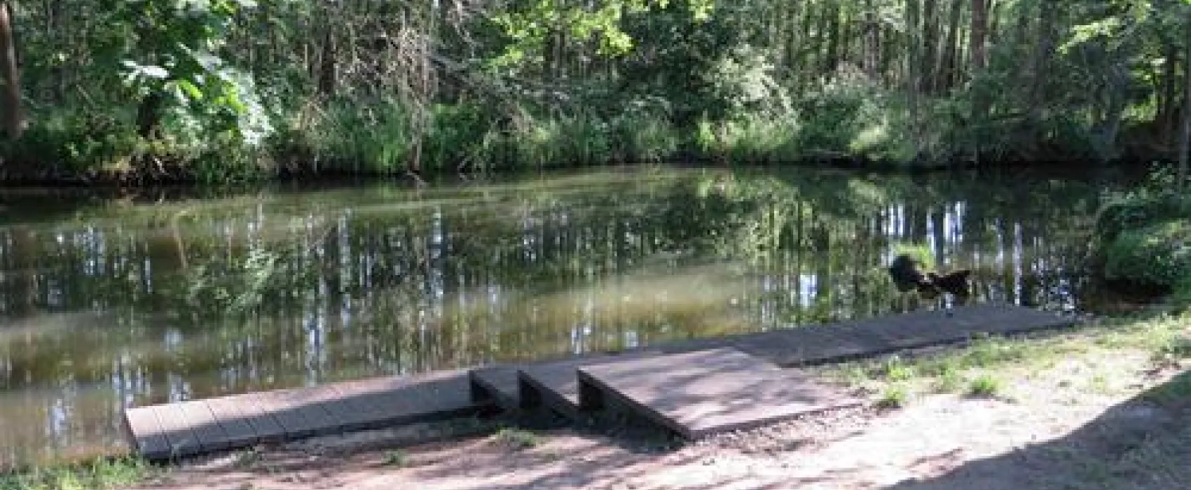Spreewald-Natur-Campingplatz