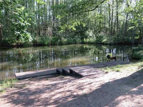 spreewaldnaturcampingplatz-lbbenau-v8i94