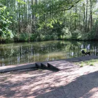 spreewaldnaturcampingplatz-lbbenau-v8i94