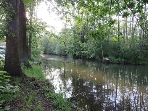 spreewaldnaturcampingplatz-lbbenau-wnqu5