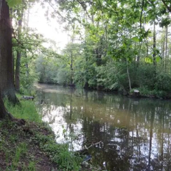 spreewaldnaturcampingplatz-lbbenau-wnqu5