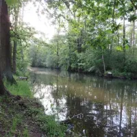 spreewaldnaturcampingplatz-lbbenau-wnqu5