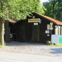 spreewaldnaturcampingplatz-lbbenau-z5zcc