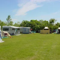 camping-de-watersnip-petten-aan-zee-vix1u