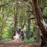 camping-caravanning-club-site-slindon-arundel-tof8b
