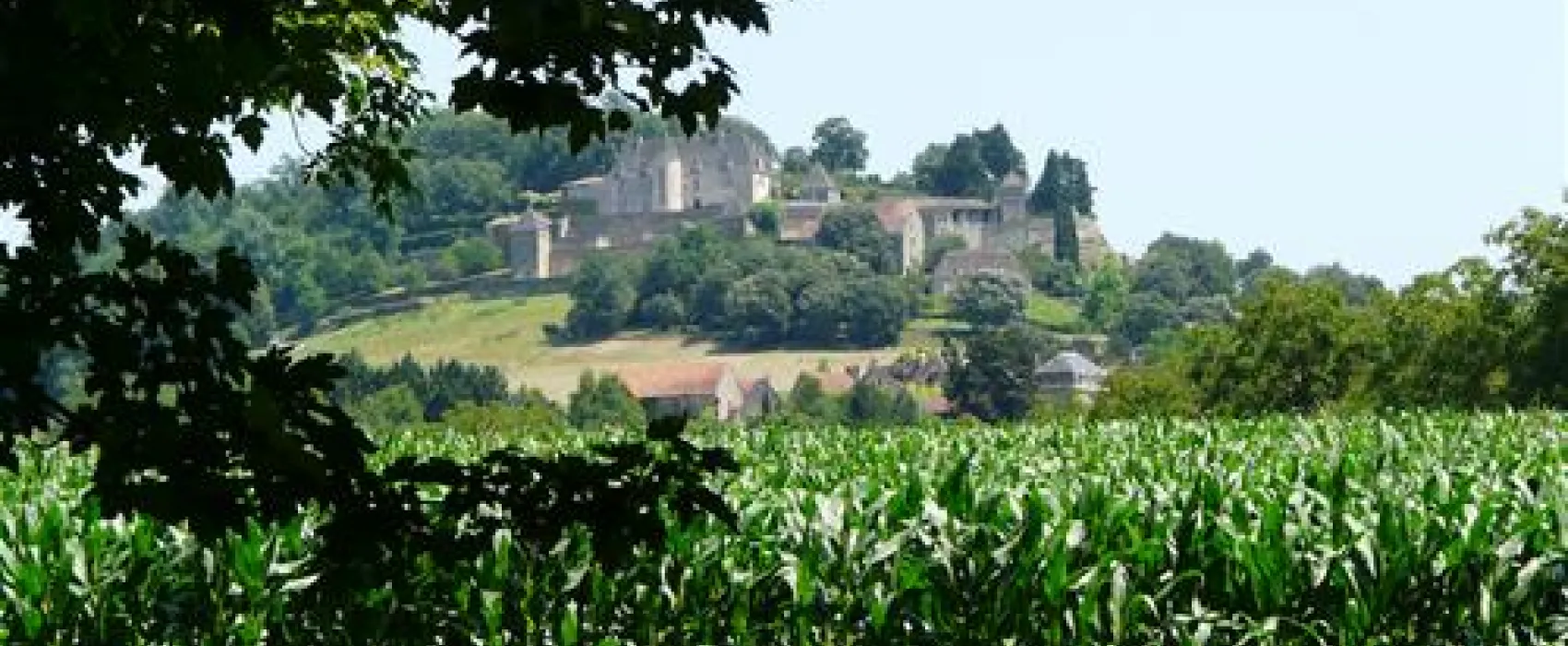 Camping La Cabane