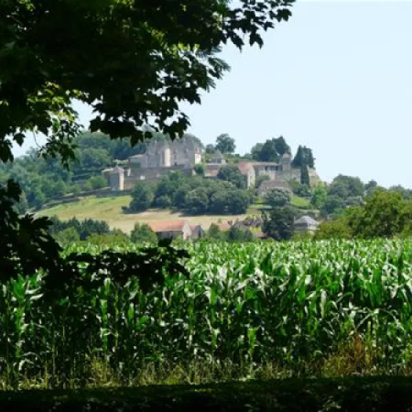 camping-la-cabane-vezac-ouikl