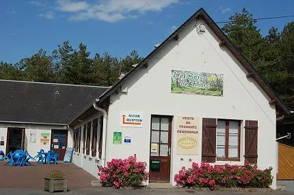 camping-municipal-le-bois-de-brighton-les-pins-cayeux-sur-mer-ibvet