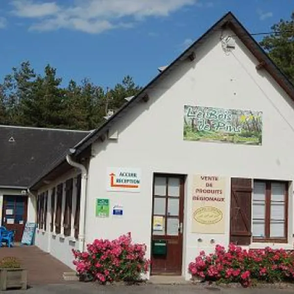 camping-municipal-le-bois-de-brighton-les-pins-cayeux-sur-mer-ibvet