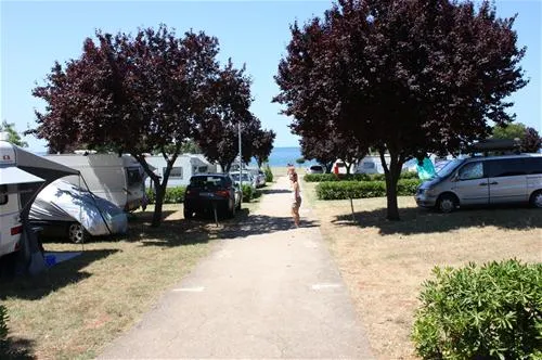 campingin-park-umag-umag-0jzhu