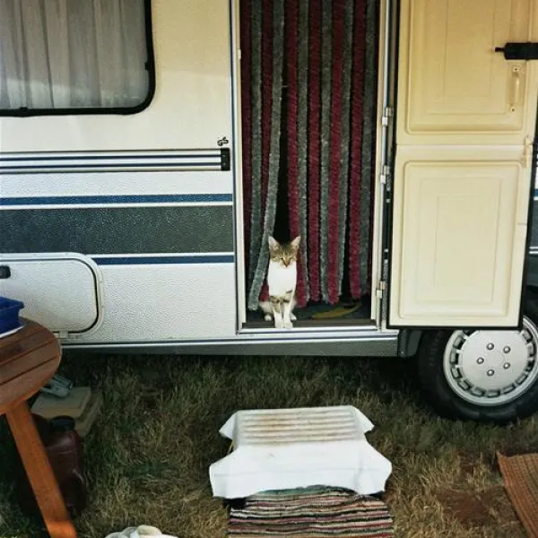 campingin-park-umag-umag-fqd7k