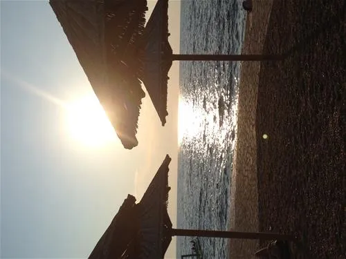 campingin-park-umag-umag-gul0u