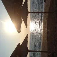 campingin-park-umag-umag-gul0u