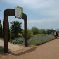 campingin-park-umag-umag-h7utg