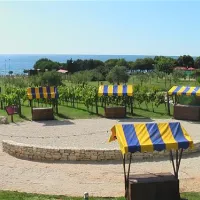 campingin-park-umag-umag-kyzcn