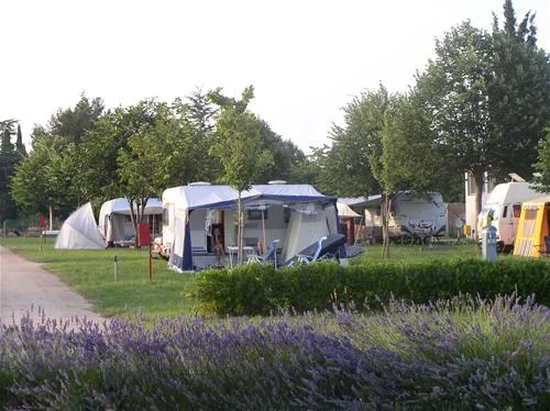 campingin-park-umag-umag-oljaf