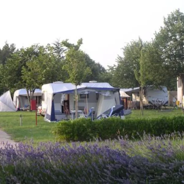 campingin-park-umag-umag-oljaf