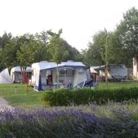 campingin-park-umag-umag-oljaf