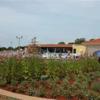 campingin-park-umag-umag-uyigm