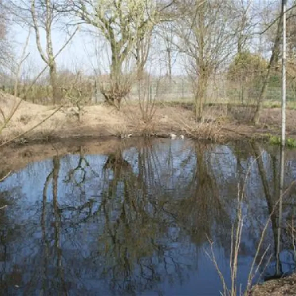 camping-de-ontginner-haghorst-fciv3