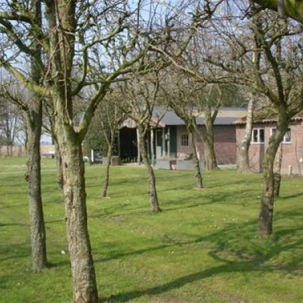 camping-de-ontginner-haghorst-ojv38
