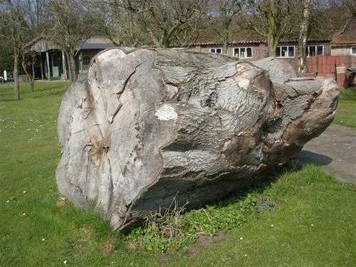 camping-de-ontginner-haghorst-phtjl
