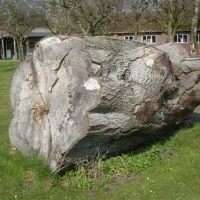 camping-de-ontginner-haghorst-phtjl