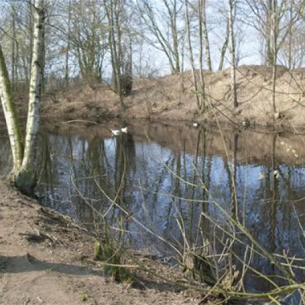camping-de-ontginner-haghorst-rwssb