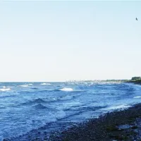 fkkcamping-ostsee-grube-cznbx