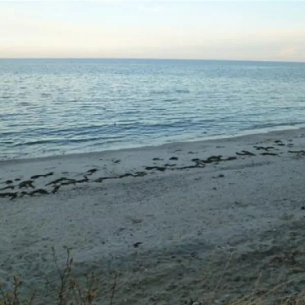 fkkcamping-ostsee-grube-lznkq