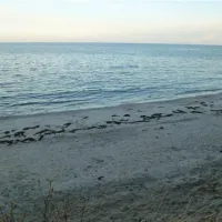 fkkcamping-ostsee-grube-lznkq