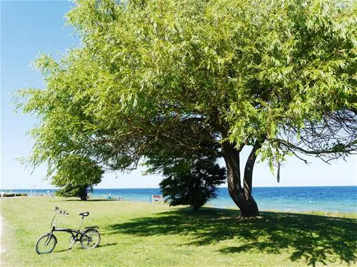 fkkcamping-ostsee-grube-yexvh