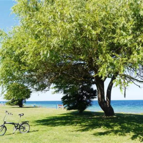 fkkcamping-ostsee-grube-yexvh