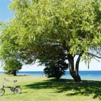 fkkcamping-ostsee-grube-yexvh