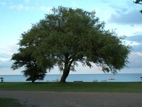 fkkcamping-ostsee-grube-zmc2o