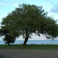 fkkcamping-ostsee-grube-zmc2o