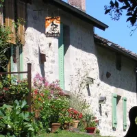 les-anes-de-vassiviere-peyrat-le-chateau-0szlq