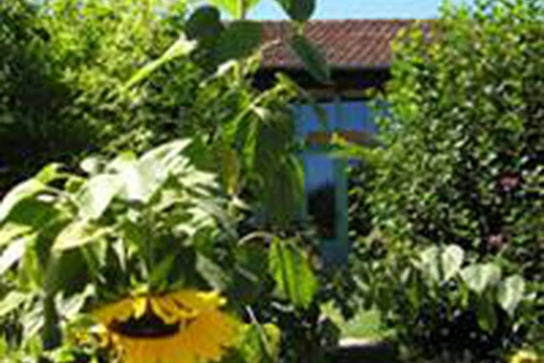 les-anes-de-vassiviere-peyrat-le-chateau-mzwjl