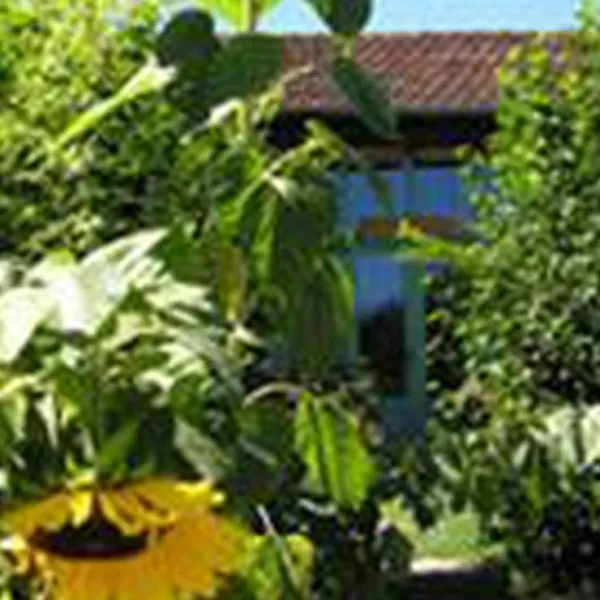 les-anes-de-vassiviere-peyrat-le-chateau-mzwjl