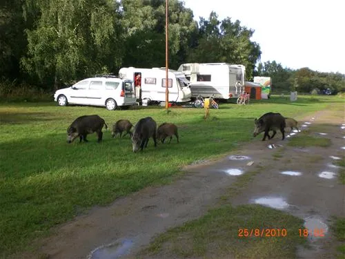 camping-nr-182-nowa-karczma-lckoc