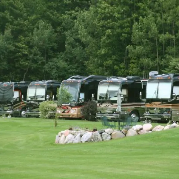 Wild Cherry Resort