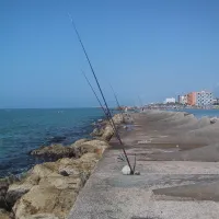 camping-mar-de-cunit-cunit-fc2q7