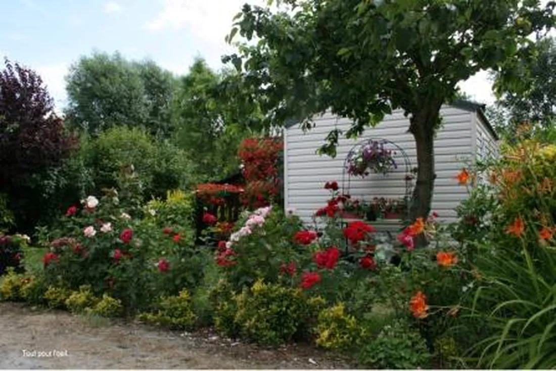 camping-ferme-de-la-hooghe-moote-ghyvelde-dn6rk