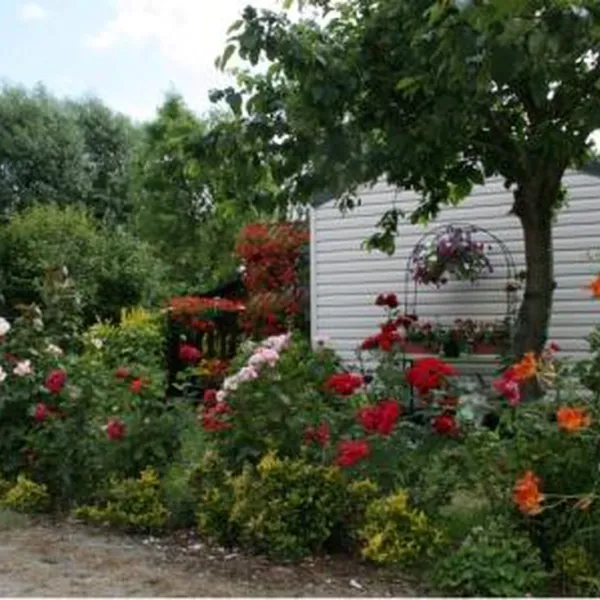 Camping Ferme de la Hooghe Moote