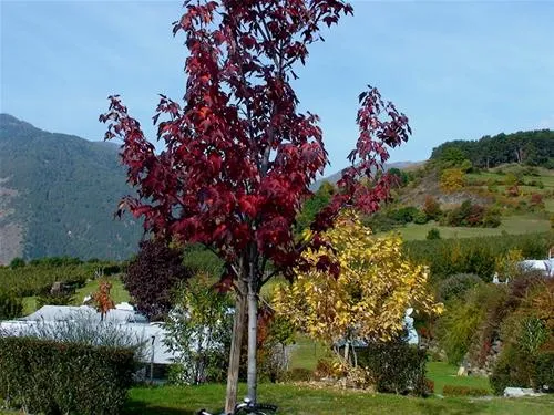 camping-gloria-vallis-glurns-avjxo