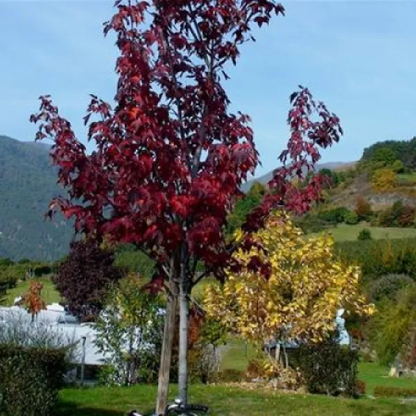 camping-gloria-vallis-glurns-avjxo